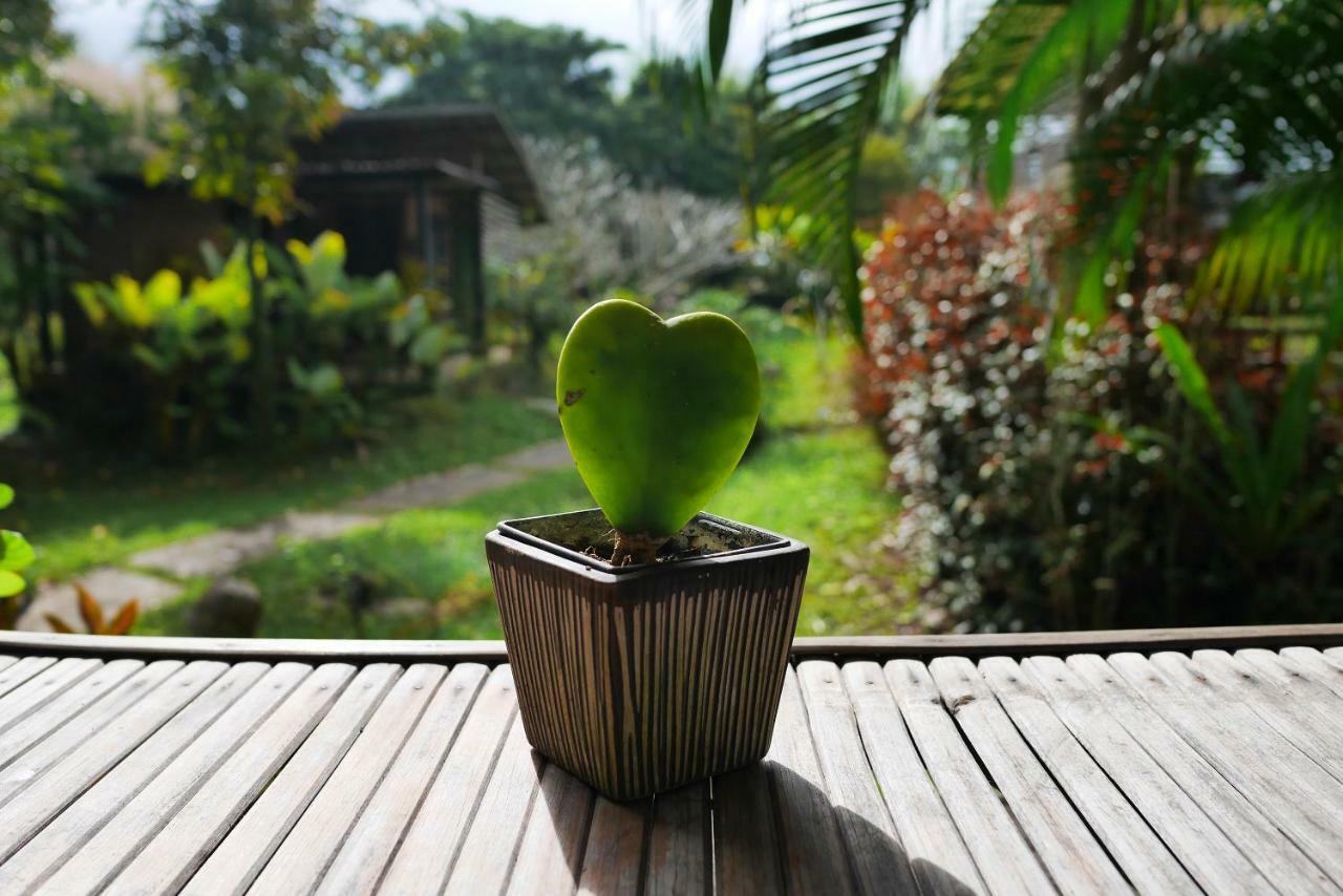 Love Pai Home Exteriör bild